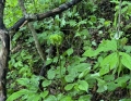 长白山自驾游 和闺蜜福州福州论坛一起玩长白山