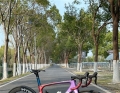 三伏天骑行养生，VELO Angel Glide 解锁舒适畅快的夏日出行