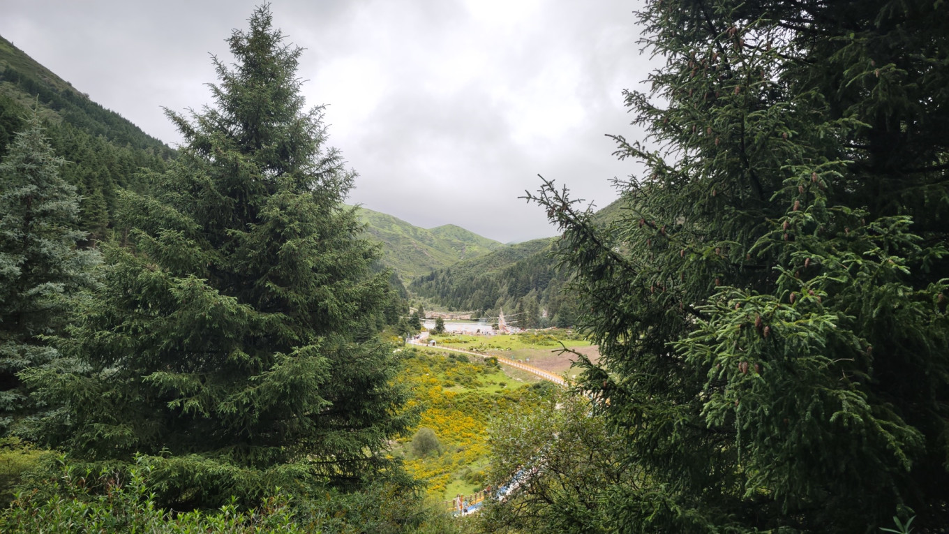 12a470c1d452ab6d69.jpg